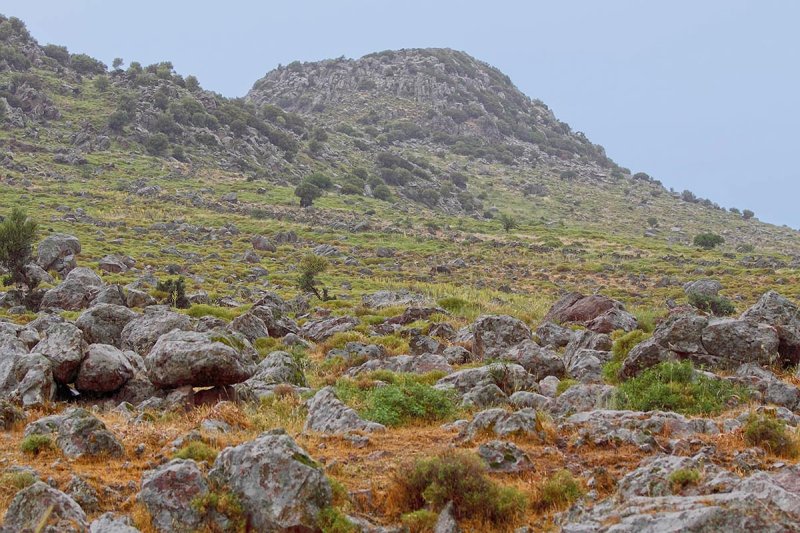 Mountainslope above Dafia