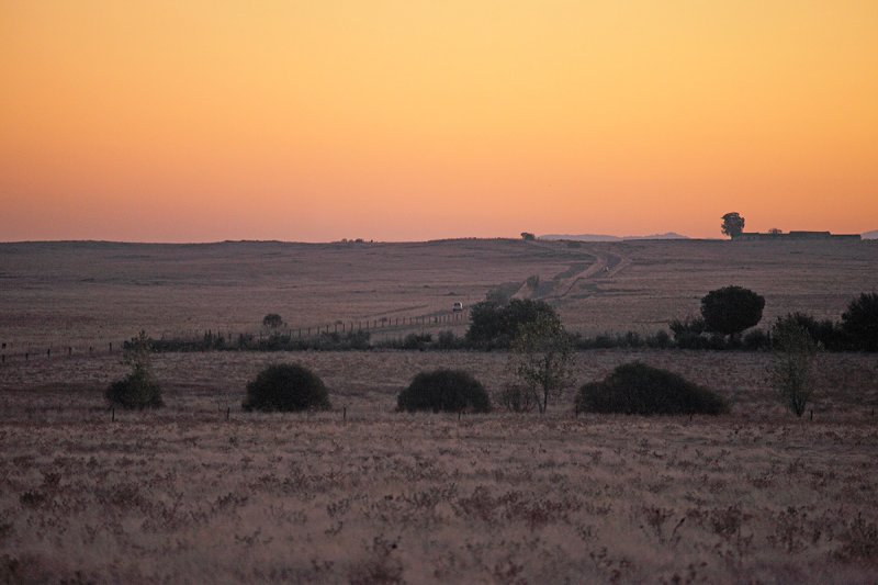 Belen plains