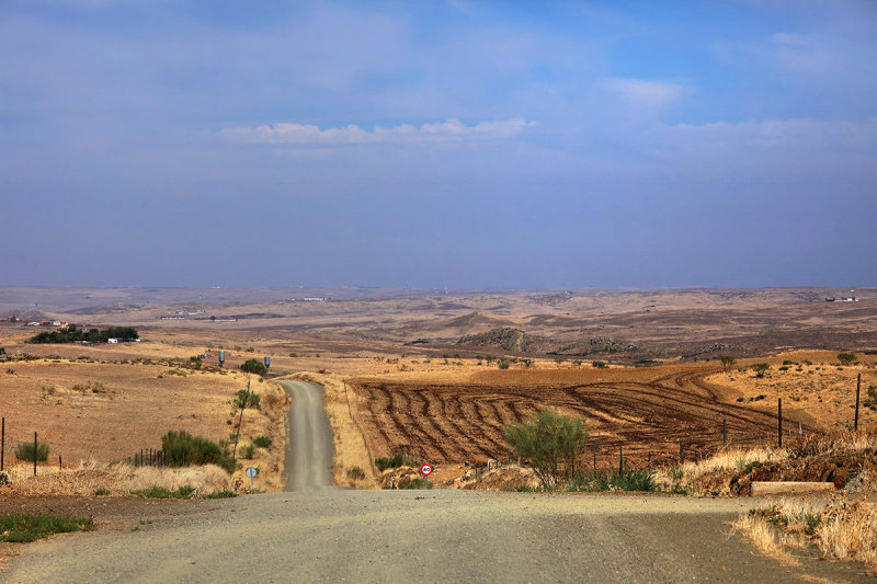 Castuera plains