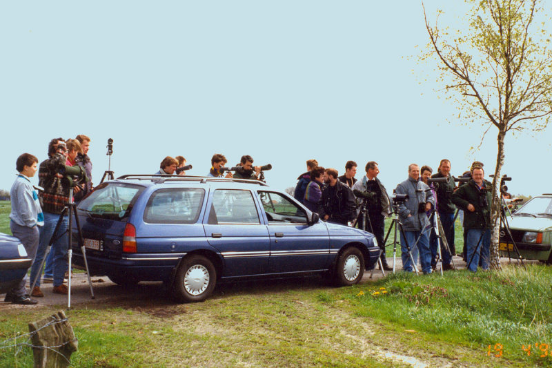 Birding in the nineties