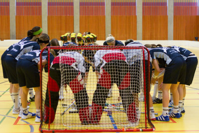 zugsml03.jpg
