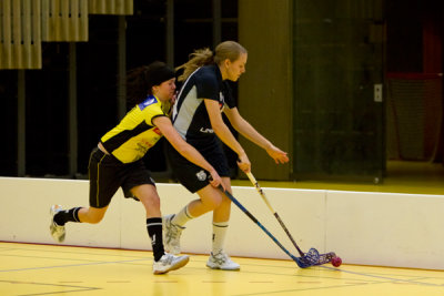 zugsml08.jpg