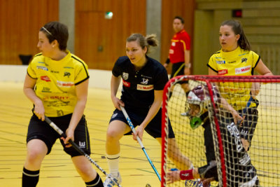 zugsml09.jpg