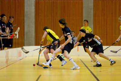 zugsml10.jpg