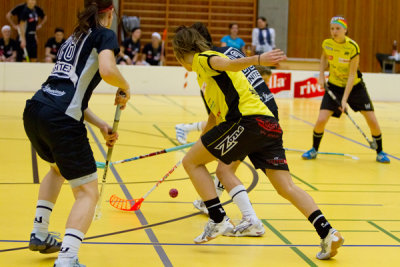 zugsml25.jpg