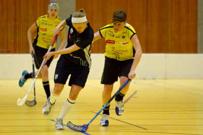 zugsml28.jpg