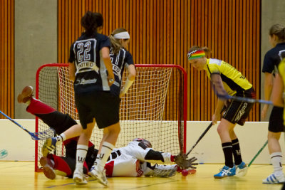 zugsml33.jpg
