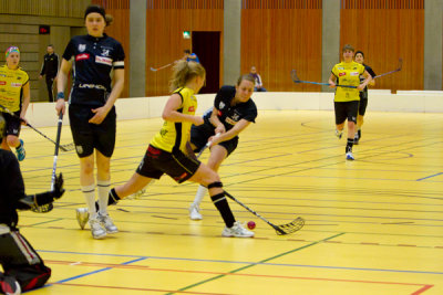 zugsml34.jpg