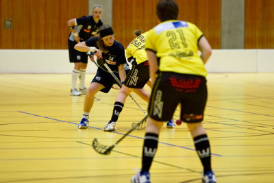 zugsml46.jpg