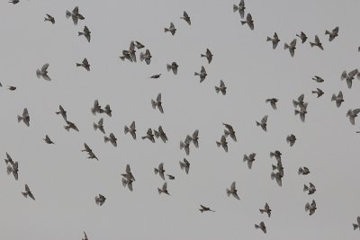 g4/83/998083/3/139268686.MQxdG7QH.jpg