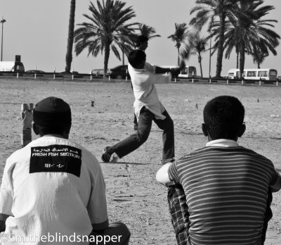 IMG_09682012.jpg