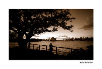Sunset at Mrs Macquarie's chair  (new)