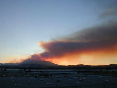 verdi fire looks like waponi-wu photo #1