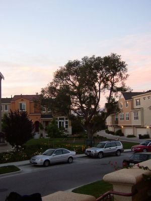 The view from Greg and Erin's