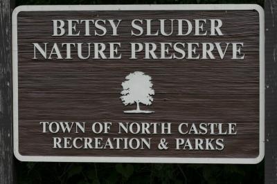 06 17  06 Betsy Sludder Nature Preserve