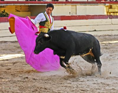 g4/84/298584/3/59298782.TORO.jpg