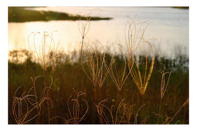 Autumn evening. Enoggera Dam