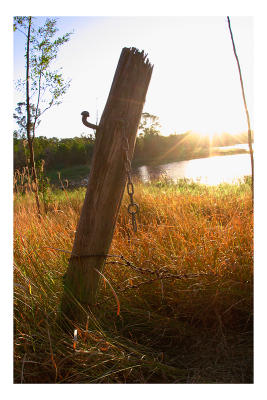 Autumn Dusk at Enoggera Dam