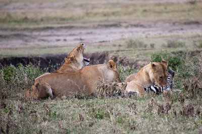 Serengeti National Park