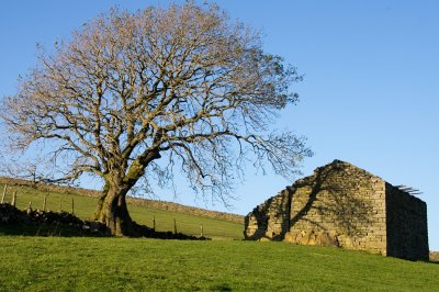 Swaledale (and adjacent areas)