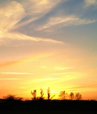 Abbotts Hall sunset