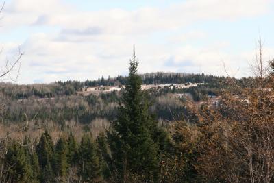 IMG_5246.JPG