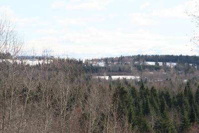 IMG_5283.JPG