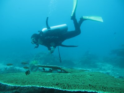 Scuba Diving in PG, Phillipines， 2011