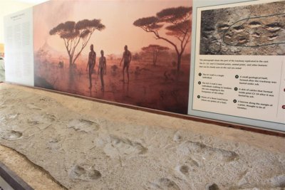 The first Footprint of Human Being