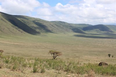 Inside the Crater