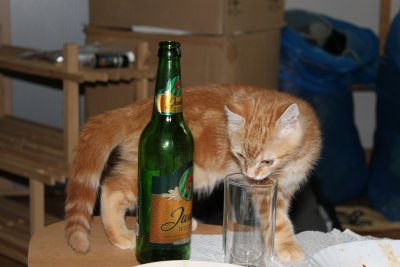 I want to have a Drink too, please!