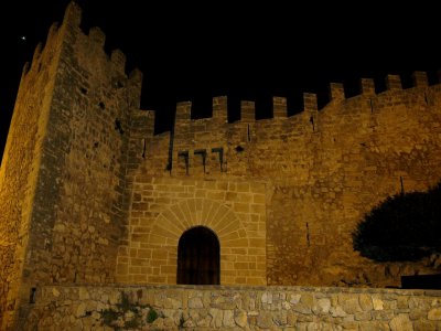 A Castle at Night
