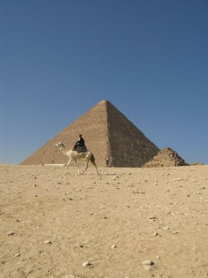 Policeman on Camel - Giza