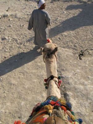 Riding a Camel