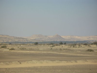 Oasis in Desert