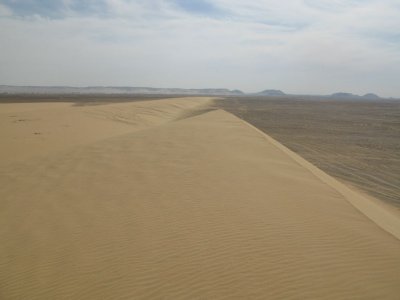 Dune Area