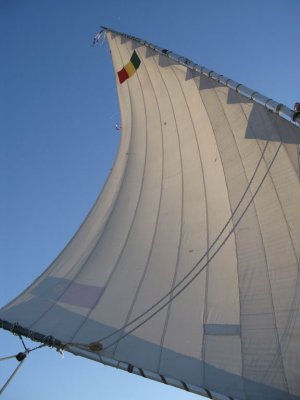 Felluca