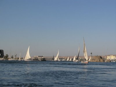 Felluca