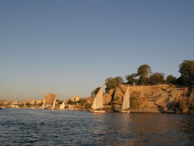 Felluca