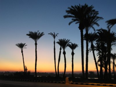 Evening on Nile