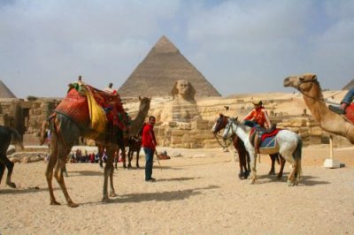 8878 Camel and Sphyinx.jpg