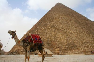 8911 Camel and Pyramid.jpg