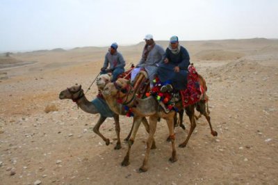 8927 Camels Giza Plateau.jpg