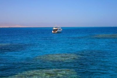 9284 Jackson Reef Toran Island.jpg