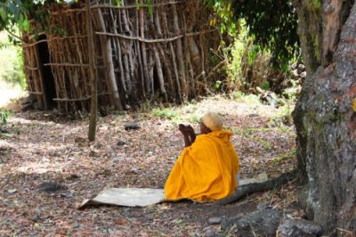 0482 Monk under trees.jpg