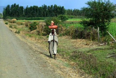 0533 Walking to Market.jpg