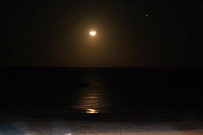 7088 Half Moon Zanzibar.jpg