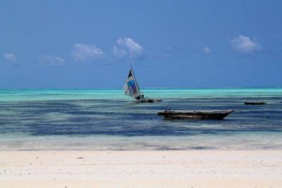 7043 Jambiani Beach Zanzibar.jpg