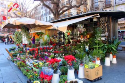 8233 Flower stall Granada.jpg