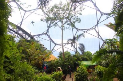 10046 Rainforest Biome.jpg